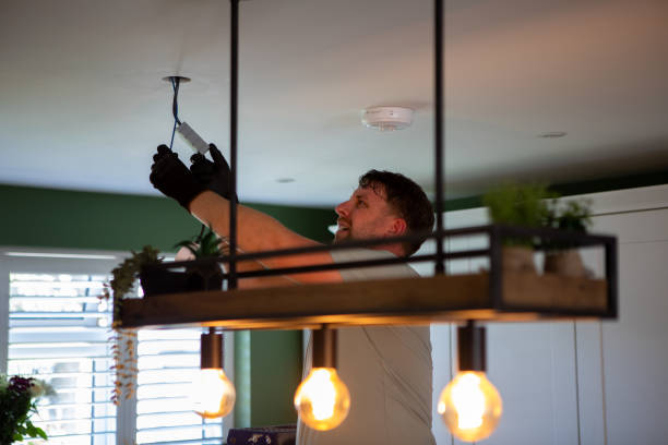 Best Electric Panel Repair  in Thomaston, NY